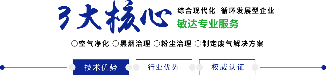 靠b视频在线观看免费敏达环保科技（嘉兴）有限公司